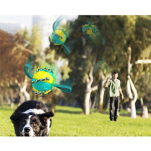 Pelota Frisbee 2 en 1 Súper Interactivo